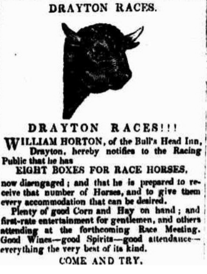 This image has an empty alt attribute; its file name is bulls-head.png