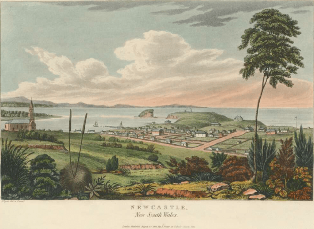 This image is a painting of Newcastle, New South Wales in 1824. It is a slightly stylised painting, showing various trees and bushes in the foreground and the settlement in the distance.