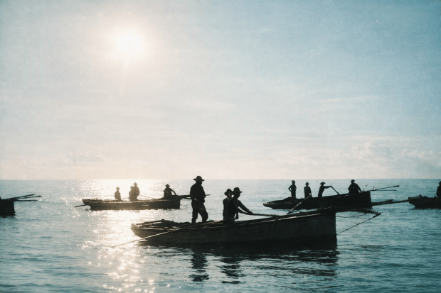 A photograph of a crouch fishing fleet at Amity Point in 1891. The photograph shows several longboats with figures standing up in the boats. The sun is rising over the horizon.